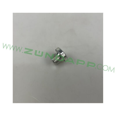 Kraagplug inbus M10x1.00 - Image 2