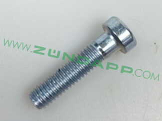 Bout M6x25 onderzijde voovork