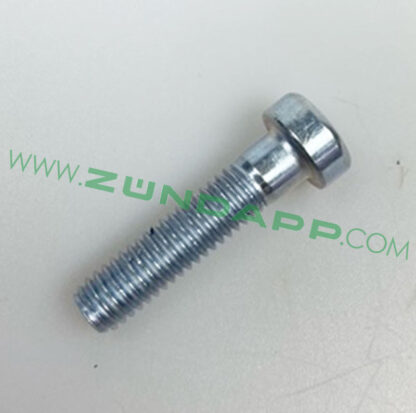 Bout M6x25 onderzijde voovork